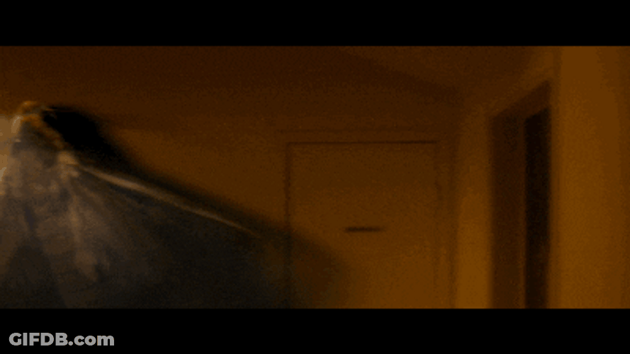 Giant Moth Near The Light GIF