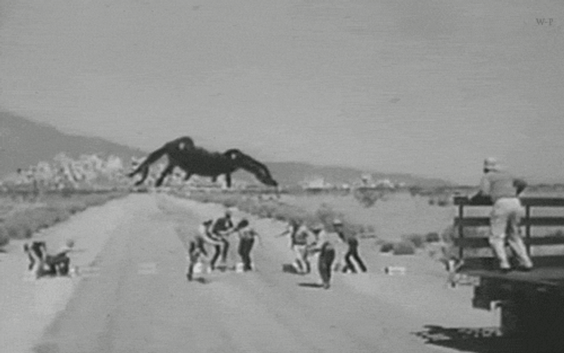 Giant Spider Chasing People GIF