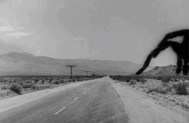 Giant Spider Walking GIF