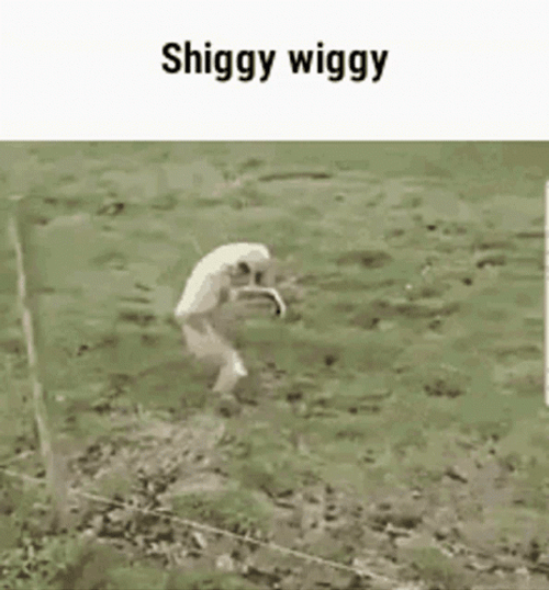 Gibbon Silly Walk GIF