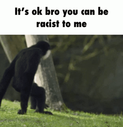 Gibbons Hugging GIF