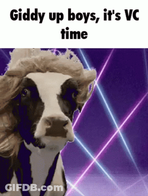 Giddy Up Boys It's Video Call Time GIF