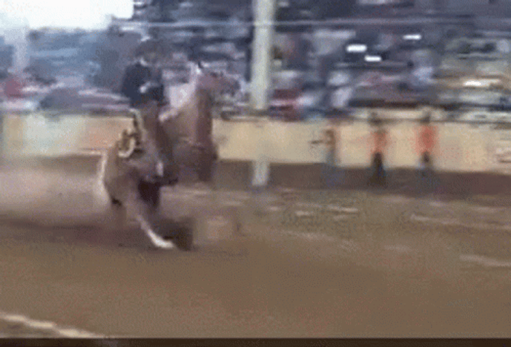 Giddy Up Horsey And Brake GIF