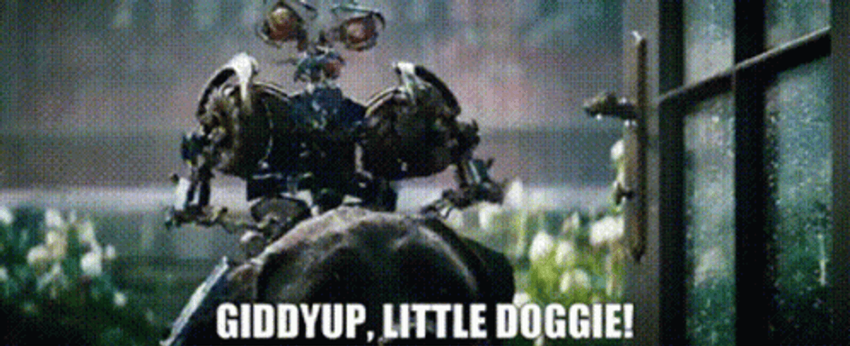 Giddy Up Little Doggie GIF
