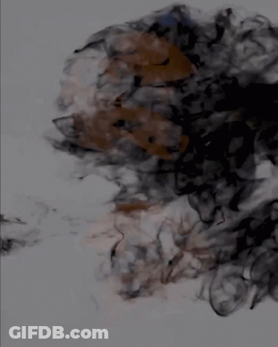Gif Appalachian GIF