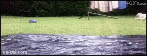 GIF From 4Gifs GIF