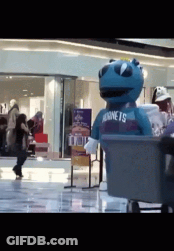 GIF Hornets GIF
