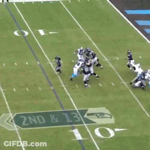 GIF Panthers GIF