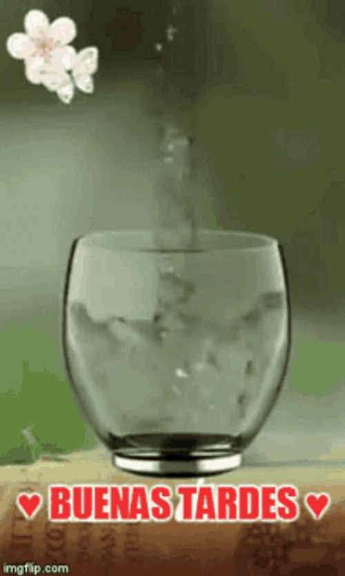 Gift Glass Water Fill Up Buenas Tardes GIF