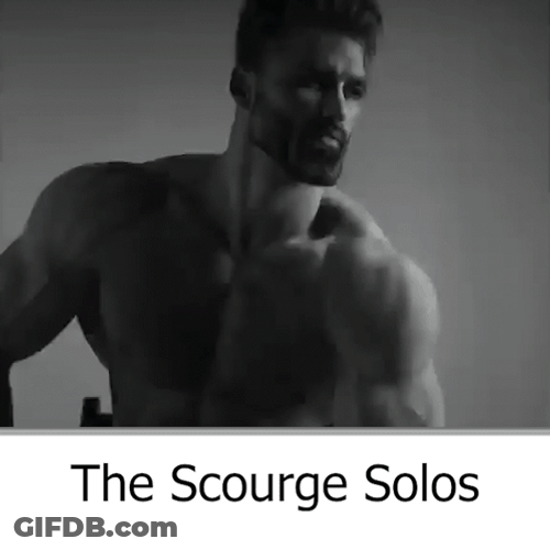 Gigachad The Scourge Solo GIF