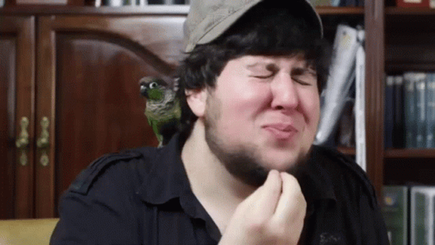 Giggle Jontron Doing Chef's Kiss GIF