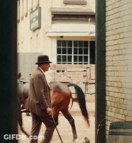 Gilbert Anne With An E GIF