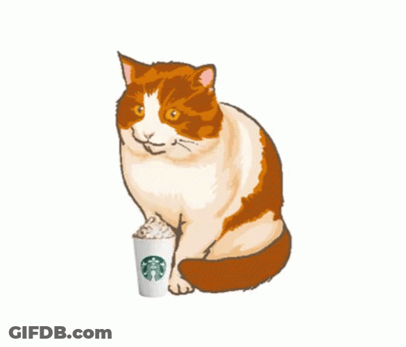 Ginger Kitty Swallowed Pumpkin Spice Latte GIF