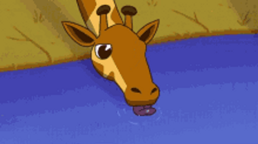 Giraffe Drinking With Crocodile GIF