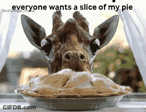 Giraffe Eating Pie Everyone Wants A Slice GIF