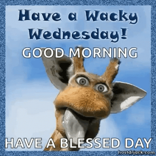Giraffe Funny Wednesday Wacky Face GIF