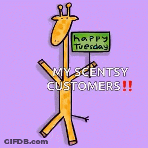 Giraffe Holding Happy Tuesday My Scentsy Customers Sign GIF