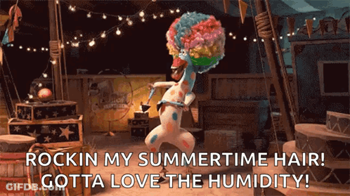 Giraffe In Clown Wig Dancing Rockin My Summertime Hair Gotta Love The Humidity GIF