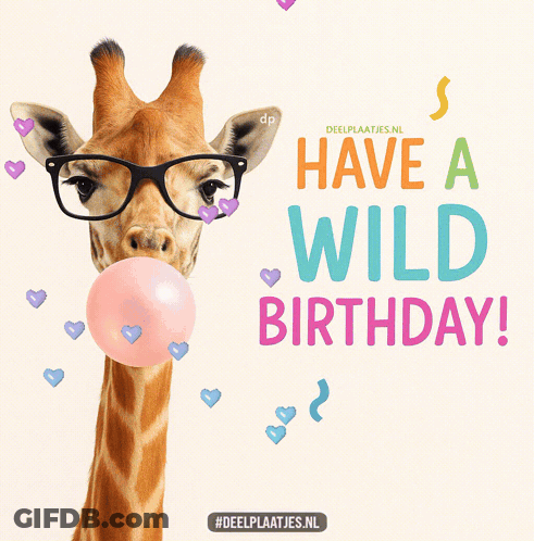 Giraffe In Glasses Blowing Pink Bubble Saying Have A Wild Birthday GIF