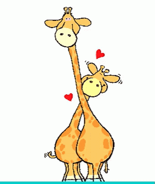 Giraffe In Love GIF