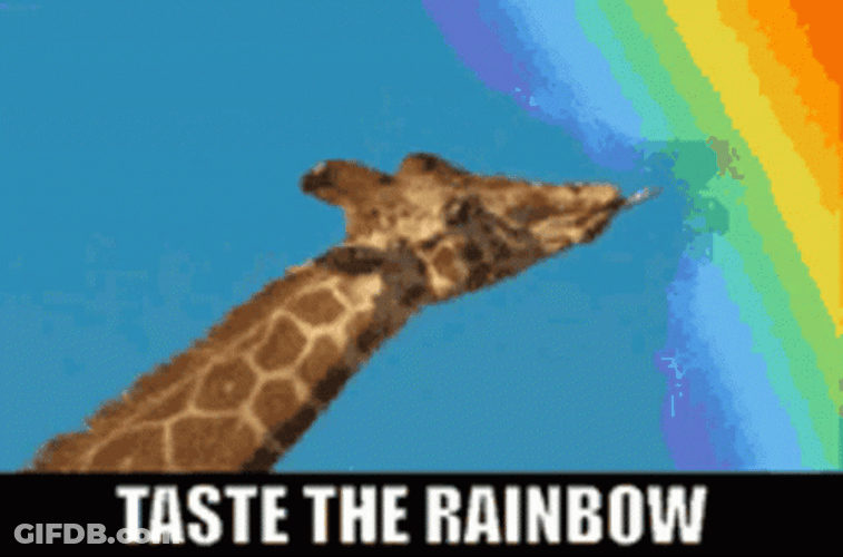 Giraffe Lick On Skittles Candy Rainbow GIF