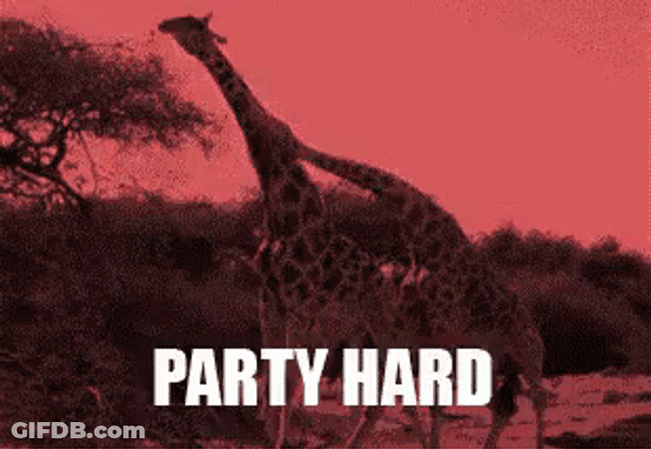 Giraffe Party Hard GIF