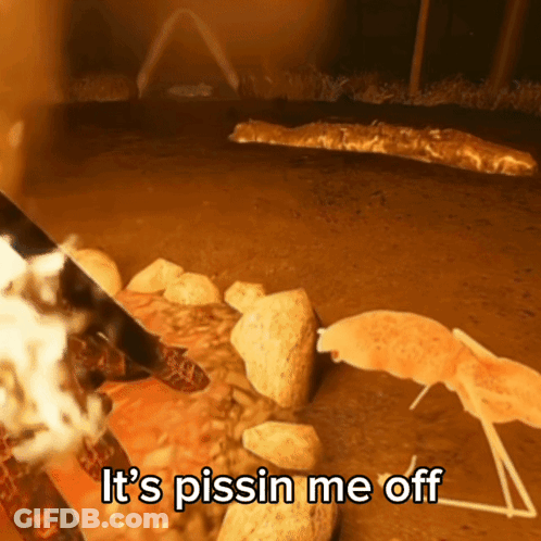 Giraffe Pissing Me Off GIF