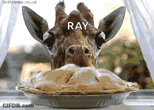 Giraffe's Head In Pie Ray GIF