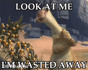 Giraffe Saying Look At Me I Am Wasted GIF