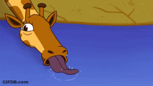 Giraffe Sticking Tongue Out Into Water GIF