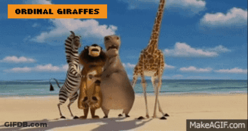 Giraffes And Zebras Standing On Beach GIF