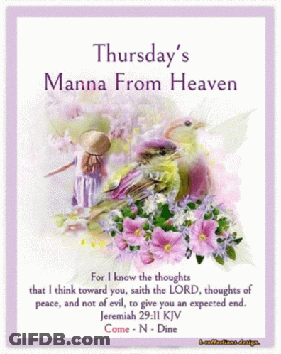 Girl And Bird Thursday's Manna From Heaven GIF