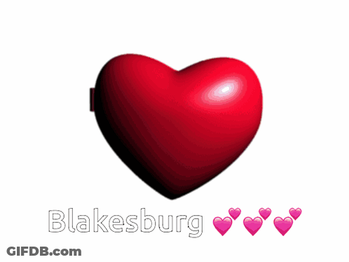 Girl And Boy In Heart Mirror Saying Blakesburgh GIF