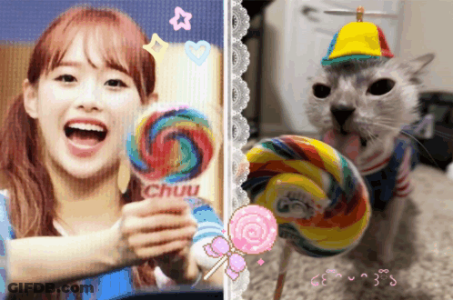 Girl And Cat Holding Lollipops GIF