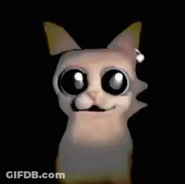 Girl And Cat Standing Together GIF