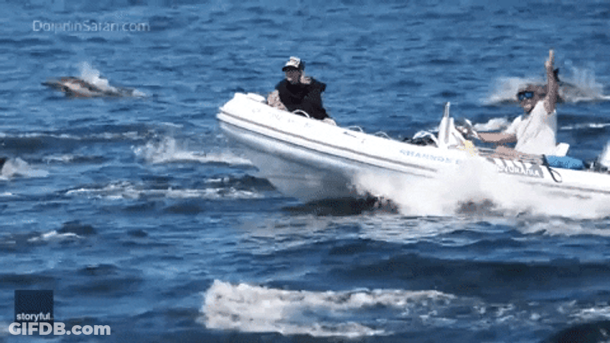 Girl Boy Riding Skiff Dolphin Swims Near Skiff GIF