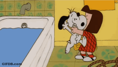 Girl Brushing Snoopy's Teeth In Bathroom GIF