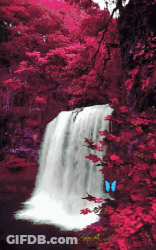 Girl Buenos Días Amigos GIF
