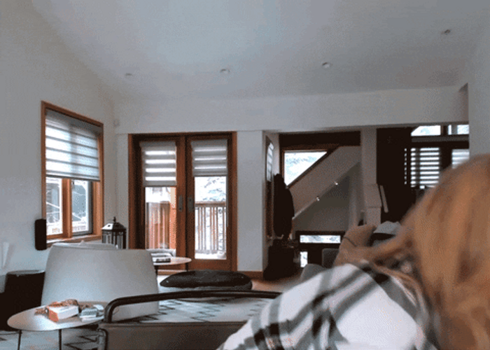 Girl Carries Big Furry Dog GIF