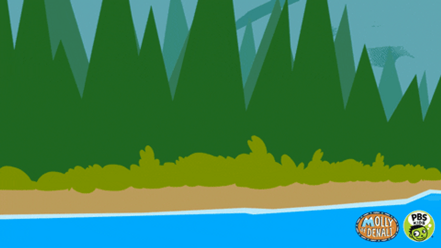 Girl Caught Fish Pbs Kids GIF