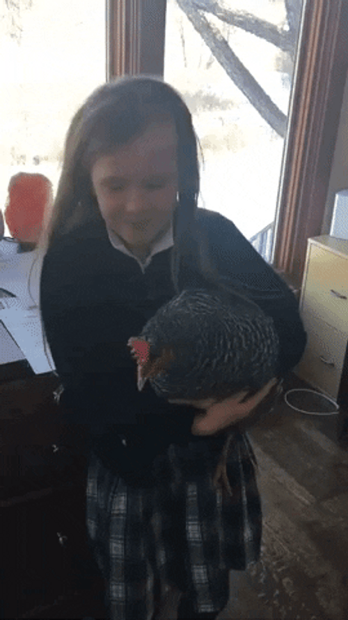 Girl Dancing With Chicken GIF