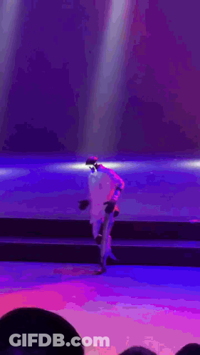 Girl Doing Handstand Saying Aww Thank You GIF