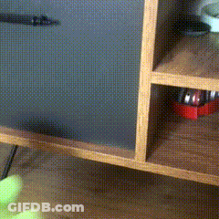 Girl Dont Die Dying Is Unsigma GIF