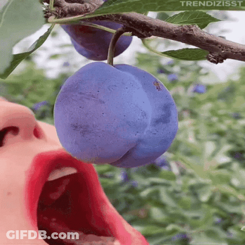 Girl Eating Big Grape Fruit GIF