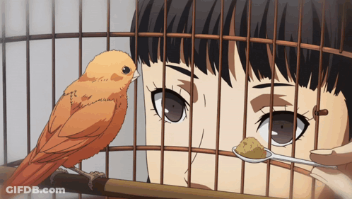 Girl Feeding Orange Bird In Cage GIF