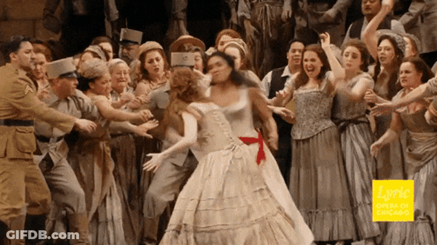 Girl Fight Punch Kicking Squabble GIF