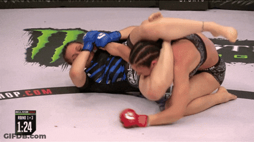 Girl Fight Wrestling Arena Violent Altercation GIF