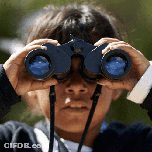 Girl Find Using Telescope GIF