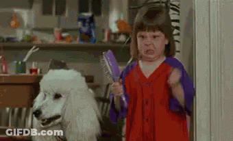 Girl Holding Brush Next To Poodle GIF
