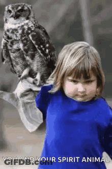 Girl Holding Owl Saying Spirit Animal GIF